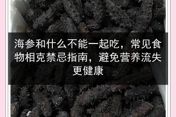 海参和什么不能一起吃,常见食物相克禁忌指南,避免营养流失更健康