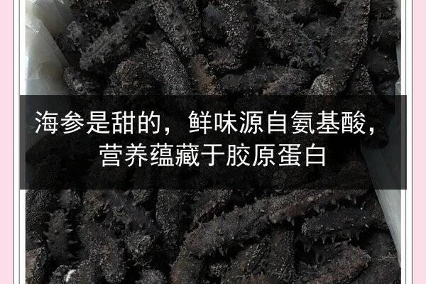 海参是甜的，鲜味源自氨基酸，营养蕴藏于胶原蛋白