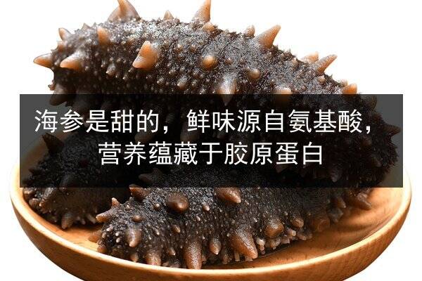 海参是甜的，鲜味源自氨基酸，营养蕴藏于胶原蛋白