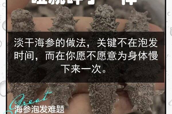 淡干海参的做法,关键不在泡发时间,而在你愿不愿意为身体慢下来一次。