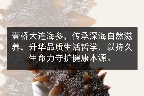 壹桥大连海参,传承深海自然滋养,升华品质生活哲学,以持久生命力守护健康本源。