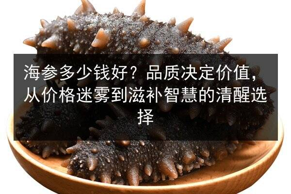海参多少钱好?品质决定价值,从价格迷雾到滋补智慧的清醒选择