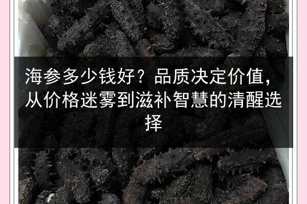 海参多少钱好?品质决定价值,从价格迷雾到滋补智慧的清醒选择
