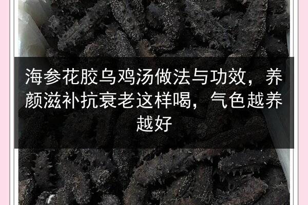 海参花胶乌鸡汤做法与功效,养颜滋补抗衰老这样喝,气色越养越好