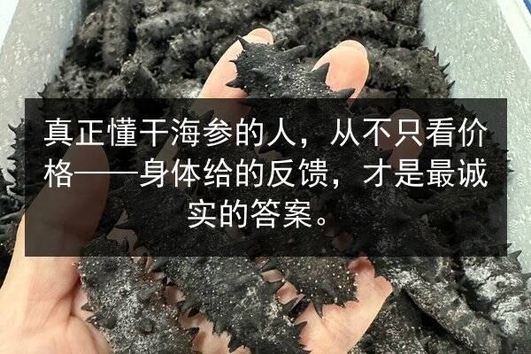 真正懂干海参的人，从不只看价格——身体给的反馈，才是最诚实的答案。