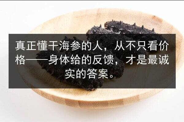 真正懂干海参的人，从不只看价格——身体给的反馈，才是最诚实的答案。