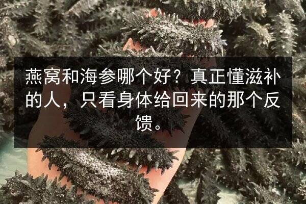 燕窝和海参哪个好?真正懂滋补的人,只看身体给回来的那个反馈。