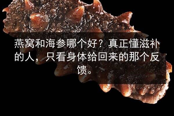 燕窝和海参哪个好?真正懂滋补的人,只看身体给回来的那个反馈。