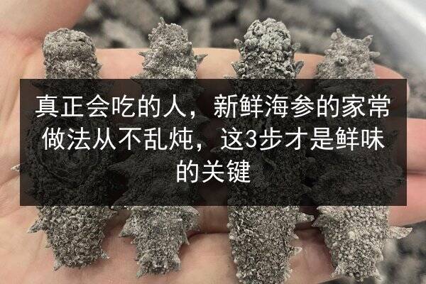 真正会吃的人,新鲜海参的家常做法从不乱炖,这3步才是鲜味的关键