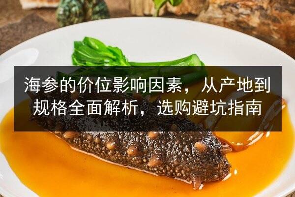 海参的价位影响因素,从产地到规格全面解析,选购避坑指南