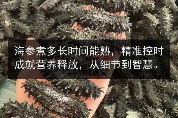 海参煮多长时间能熟，精准控时成就营养释放，从细节到智慧。