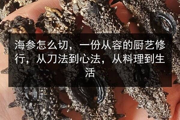 海参怎么切，一份从容的厨艺修行，从刀法到心法，从料理到生活