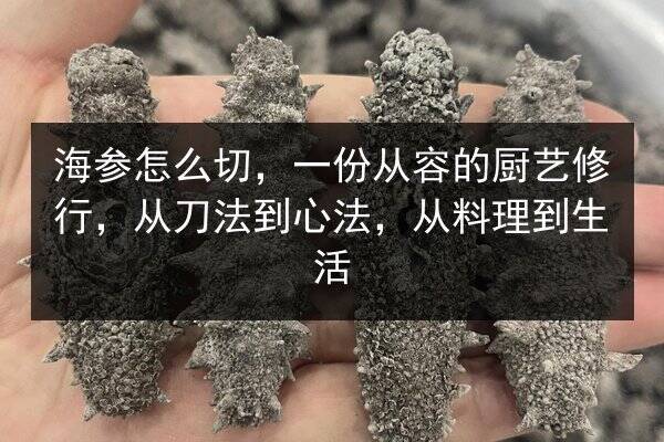 海参怎么切，一份从容的厨艺修行，从刀法到心法，从料理到生活