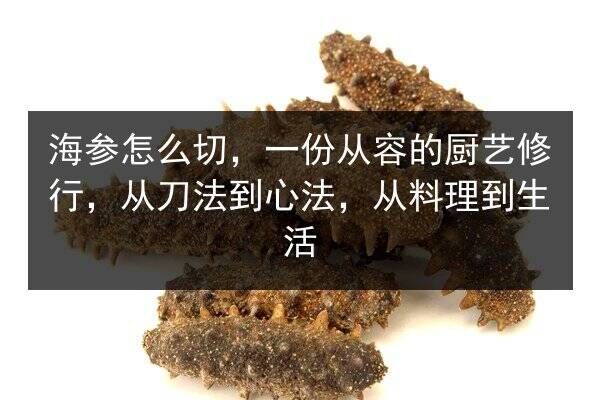 海参怎么切，一份从容的厨艺修行，从刀法到心法，从料理到生活