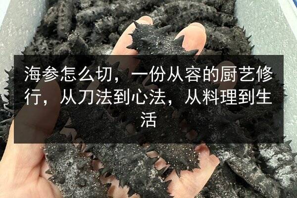 海参怎么切，一份从容的厨艺修行，从刀法到心法，从料理到生活