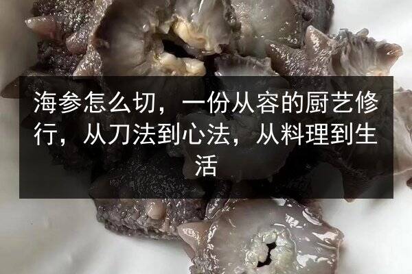 海参怎么切，一份从容的厨艺修行，从刀法到心法，从料理到生活