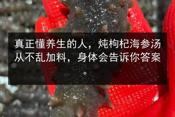 真正懂养生的人,炖枸杞海参汤从不乱加料,身体会告诉你答案。