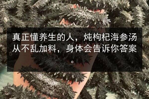 真正懂养生的人,炖枸杞海参汤从不乱加料,身体会告诉你答案。