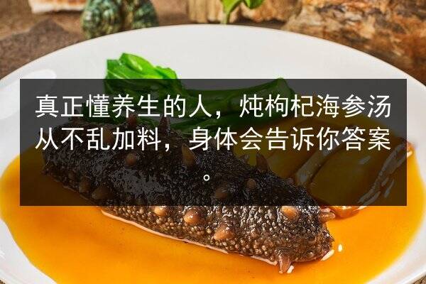 真正懂养生的人,炖枸杞海参汤从不乱加料,身体会告诉你答案。