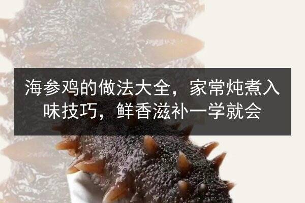 海参鸡的做法大全，家常炖煮入味技巧，鲜香滋补一学就会