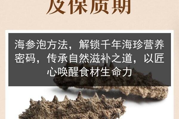 海参泡方法,解锁千年海珍营养密码,传承自然滋补之道,以匠心唤醒食材生命力
