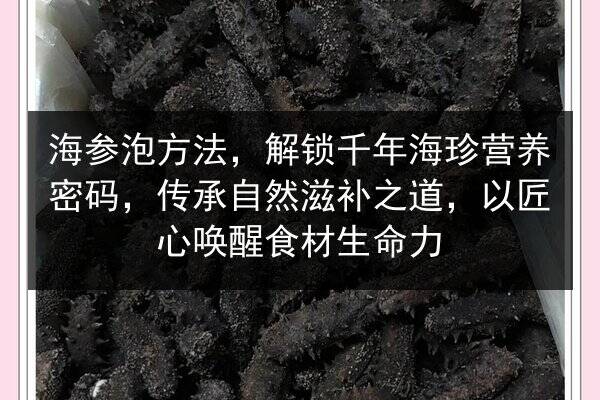 海参泡方法,解锁千年海珍营养密码,传承自然滋补之道,以匠心唤醒食材生命力