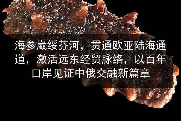 海参崴绥芬河，贯通欧亚陆海通道，激活远东经贸脉络，以百年口岸见证中俄交融新篇章
