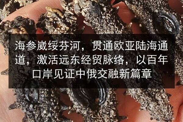 海参崴绥芬河，贯通欧亚陆海通道，激活远东经贸脉络，以百年口岸见证中俄交融新篇章