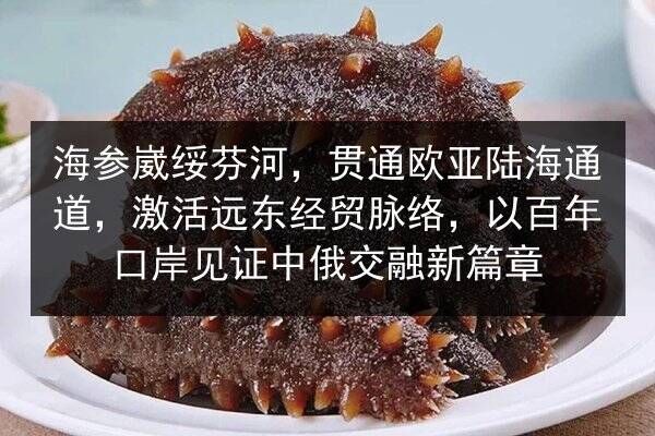 海参崴绥芬河，贯通欧亚陆海通道，激活远东经贸脉络，以百年口岸见证中俄交融新篇章