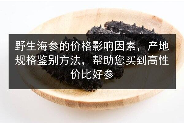 野生海参的价格影响因素,产地规格鉴别方法,帮助您买到高性价比好参