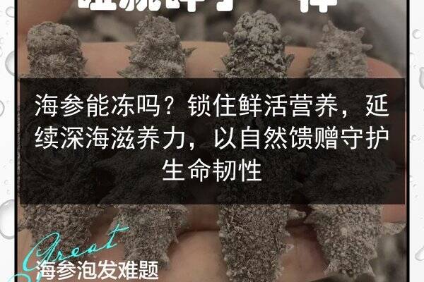 海参能冻吗?锁住鲜活营养,延续深海滋养力,以自然馈赠守护生命韧性