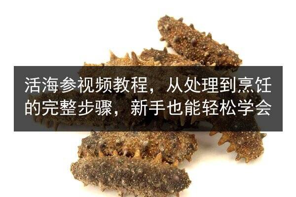 活海参视频教程,从处理到烹饪的完整步骤,新手也能轻松学会
