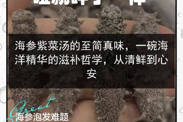 海参紫菜汤的至简真味，一碗海洋精华的滋补哲学，从清鲜到心安
