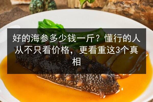 好的海参多少钱一斤？懂行的人从不只看价格，更看重这3个真相