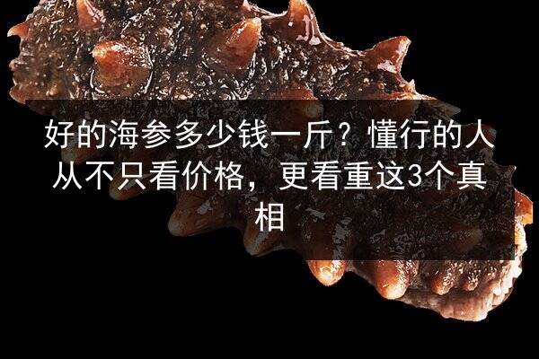 好的海参多少钱一斤？懂行的人从不只看价格，更看重这3个真相