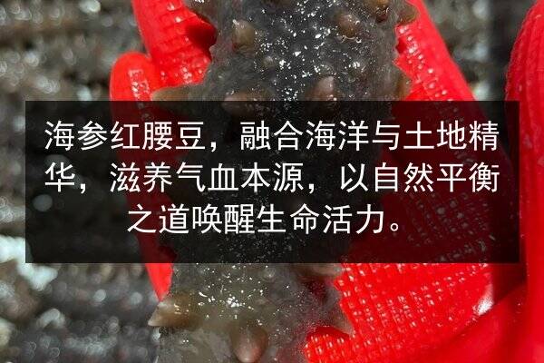 海参红腰豆，融合海洋与土地精华，滋养气血本源，以自然平衡之道唤醒生命活力。