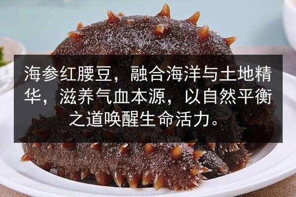 海参红腰豆，融合海洋与土地精华，滋养气血本源，以自然平衡之道唤醒生命活力。