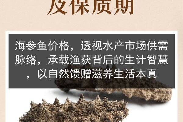 海参鱼价格,透视水产市场供需脉络,承载渔获背后的生计智慧,以自然馈赠滋养生活本真