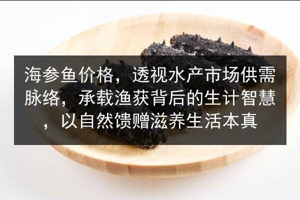 海参鱼价格,透视水产市场供需脉络,承载渔获背后的生计智慧,以自然馈赠滋养生活本真