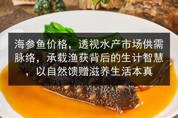 海参鱼价格,透视水产市场供需脉络,承载渔获背后的生计智慧,以自然馈赠滋养生活本真