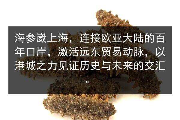 海参崴上海，连接欧亚大陆的百年口岸，激活远东贸易动脉，以港城之力见证历史与未来的交汇。