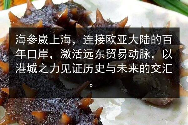 海参崴上海，连接欧亚大陆的百年口岸，激活远东贸易动脉，以港城之力见证历史与未来的交汇。