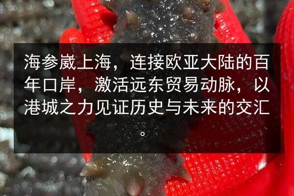 海参崴上海，连接欧亚大陆的百年口岸，激活远东贸易动脉，以港城之力见证历史与未来的交汇。