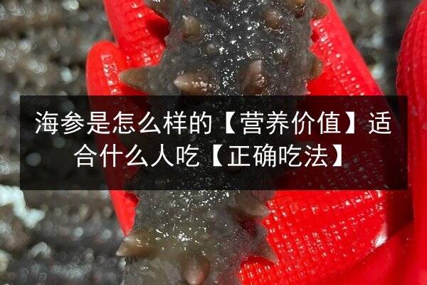 海参是怎么样的【营养价值】适合什么人吃【正确吃法】