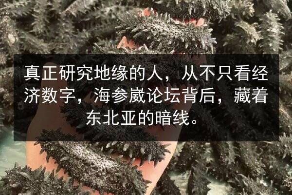 真正研究地缘的人，从不只看经济数字，海参崴论坛背后，藏着东北亚的暗线。