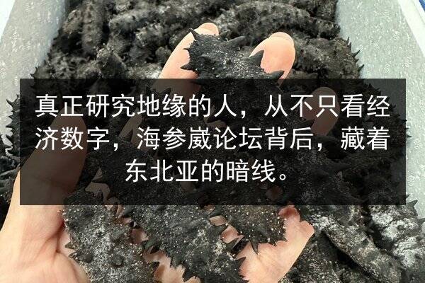 真正研究地缘的人，从不只看经济数字，海参崴论坛背后，藏着东北亚的暗线。