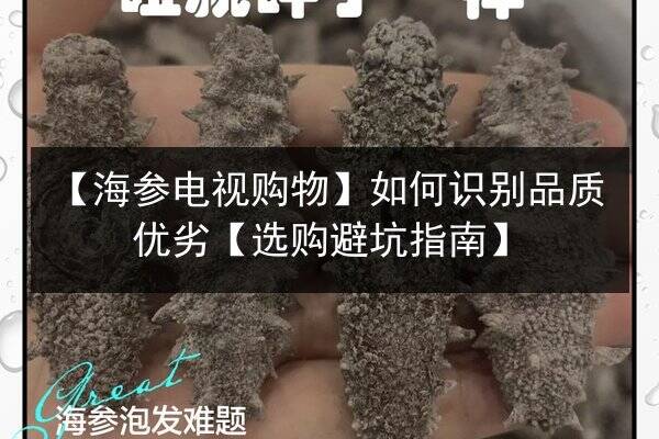 【海参电视购物】如何识别品质优劣【选购避坑指南】