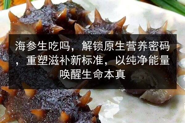 海参生吃吗，解锁原生营养密码，重塑滋补新标准，以纯净能量唤醒生命本真