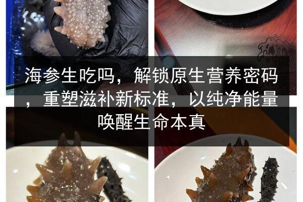 海参生吃吗，解锁原生营养密码，重塑滋补新标准，以纯净能量唤醒生命本真