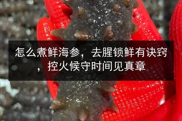 怎么煮鲜海参，去腥锁鲜有诀窍，控火候守时间见真章